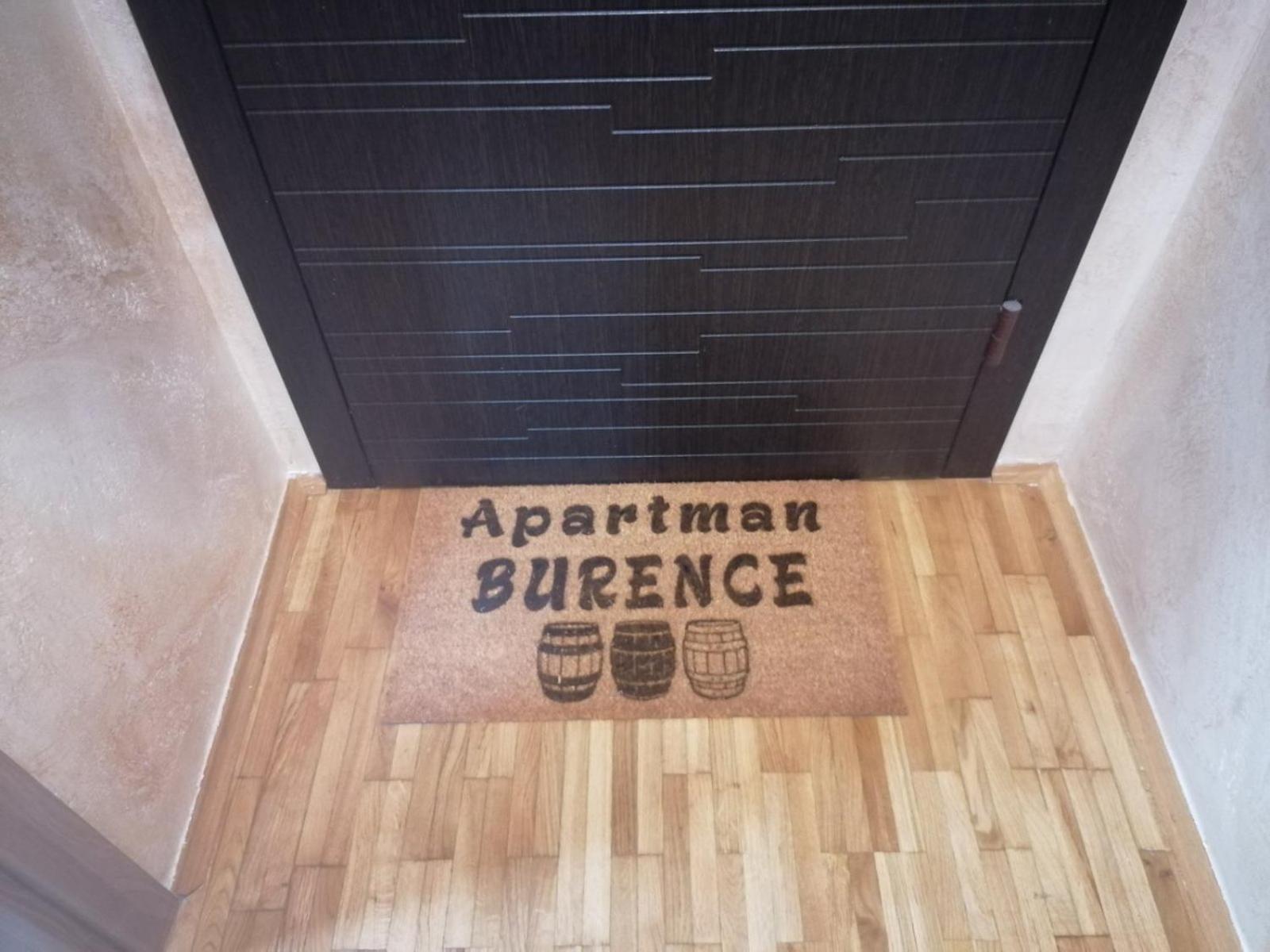 Apartment Burence Νόβι Σαντ Εξωτερικό φωτογραφία